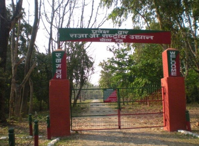 Rajaji National Park, Haridwar, Uttarakhand - Vushii.com Rajaji National Park, Haridwar, Uttarakhand - Vushii.com